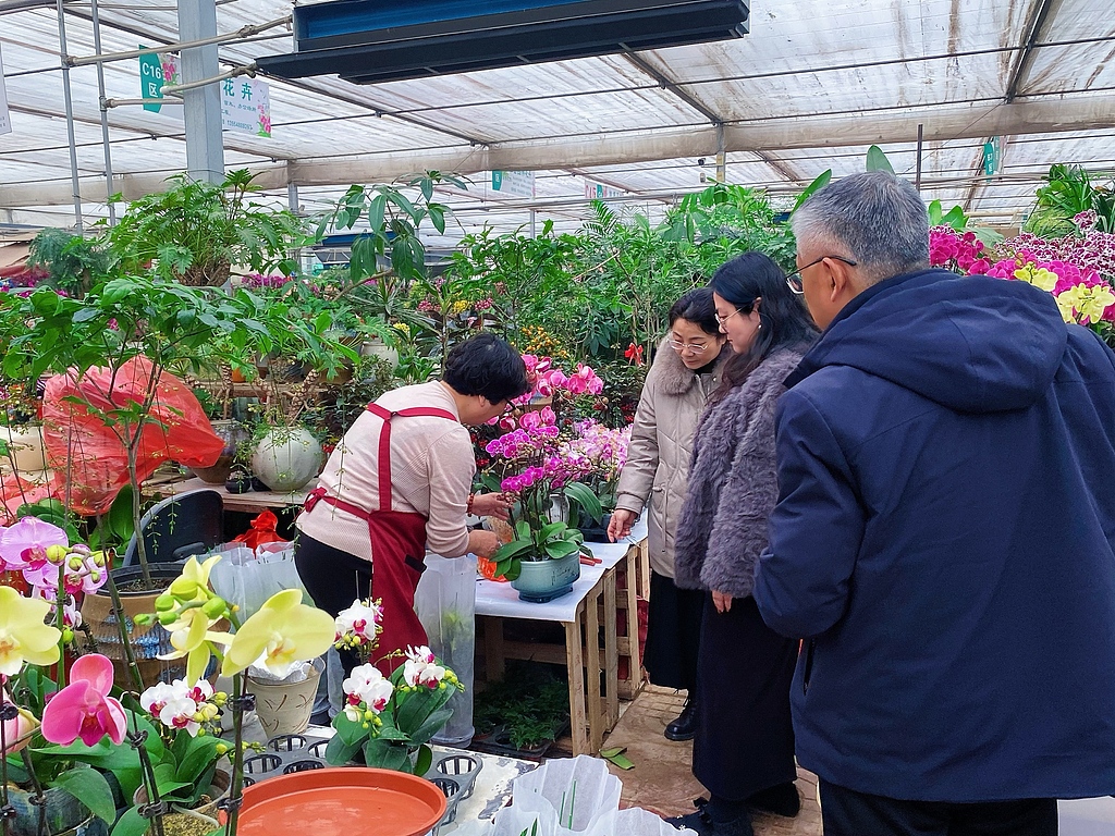 山东泰安：花卉市场迎销售旺季