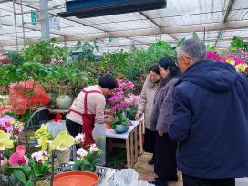 山东泰安：花卉市场迎销售旺季