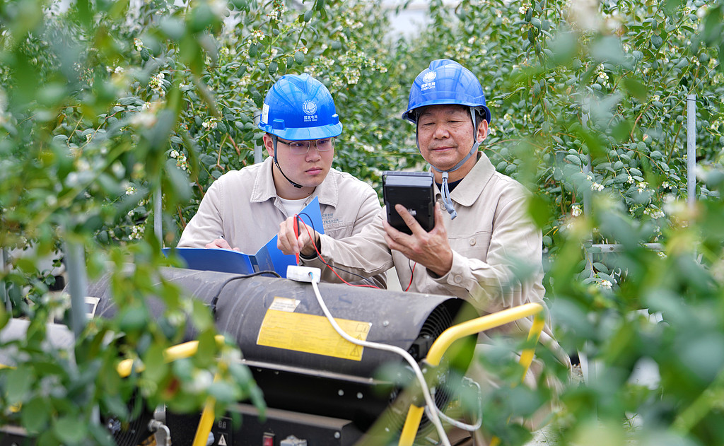 江苏海安：工作人员在大棚检查用电安全