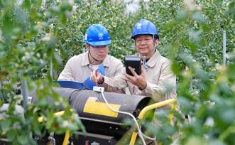 江苏海安：工作人员在大棚检查用电安全