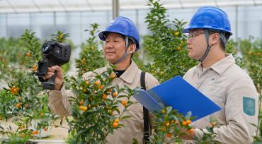 江苏海安：工作人员在大棚检查用电安全