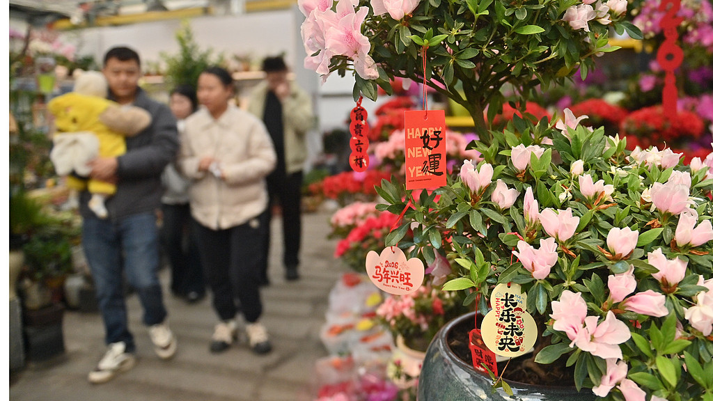 吉林长春：市民在花卉市场选购年宵花