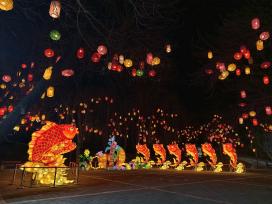 北京：圆明园新春灯会璀璨启幕