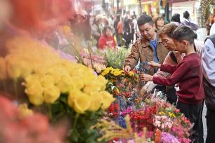 广州西湖花市开市迎客