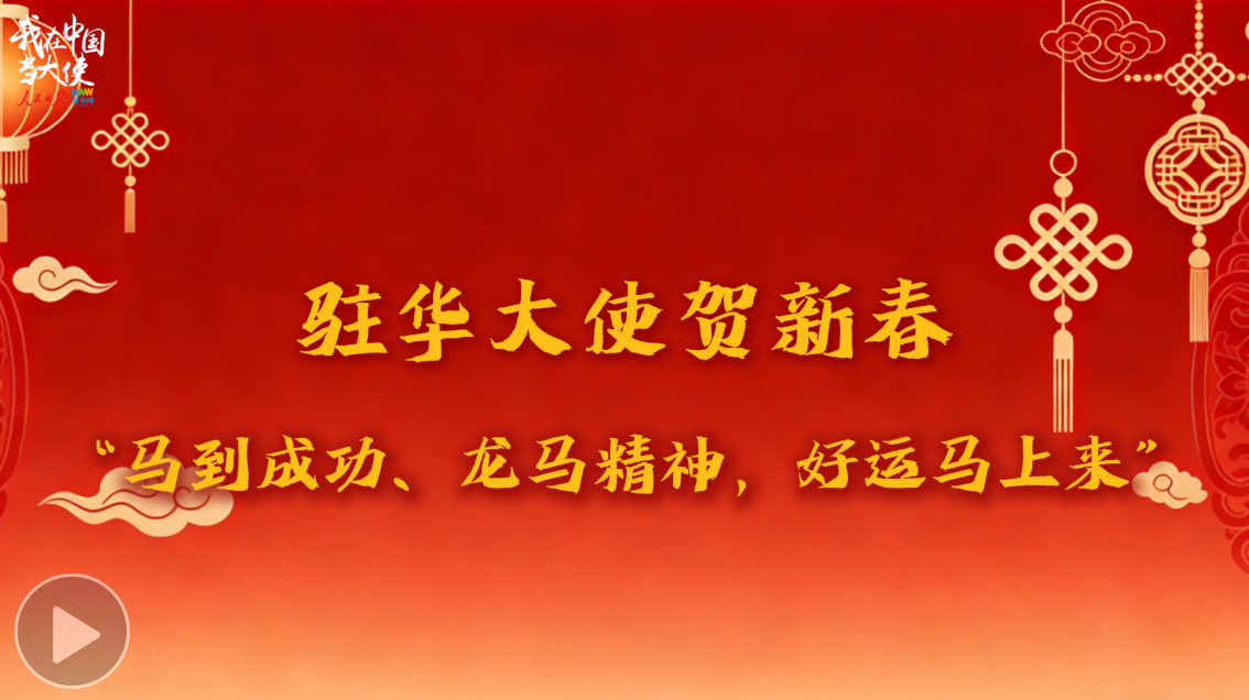 驻华大使贺新春：“马到成功、龙马精神，好运马上来”