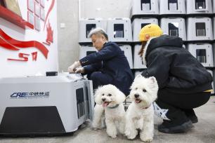 北京：春运出行新变化 高铁宠物托运业务忙