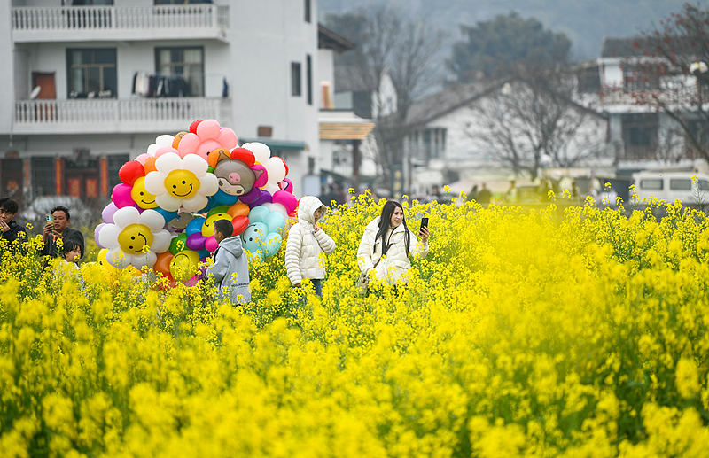 贵州兴义：民众踏青赏花享春光