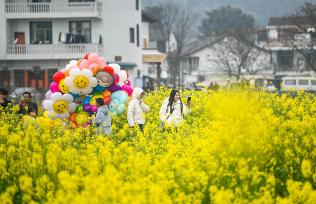 贵州兴义：民众踏青赏花享春光