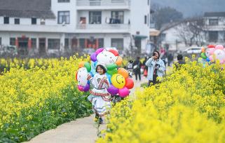 贵州兴义：民众踏青赏花享春光