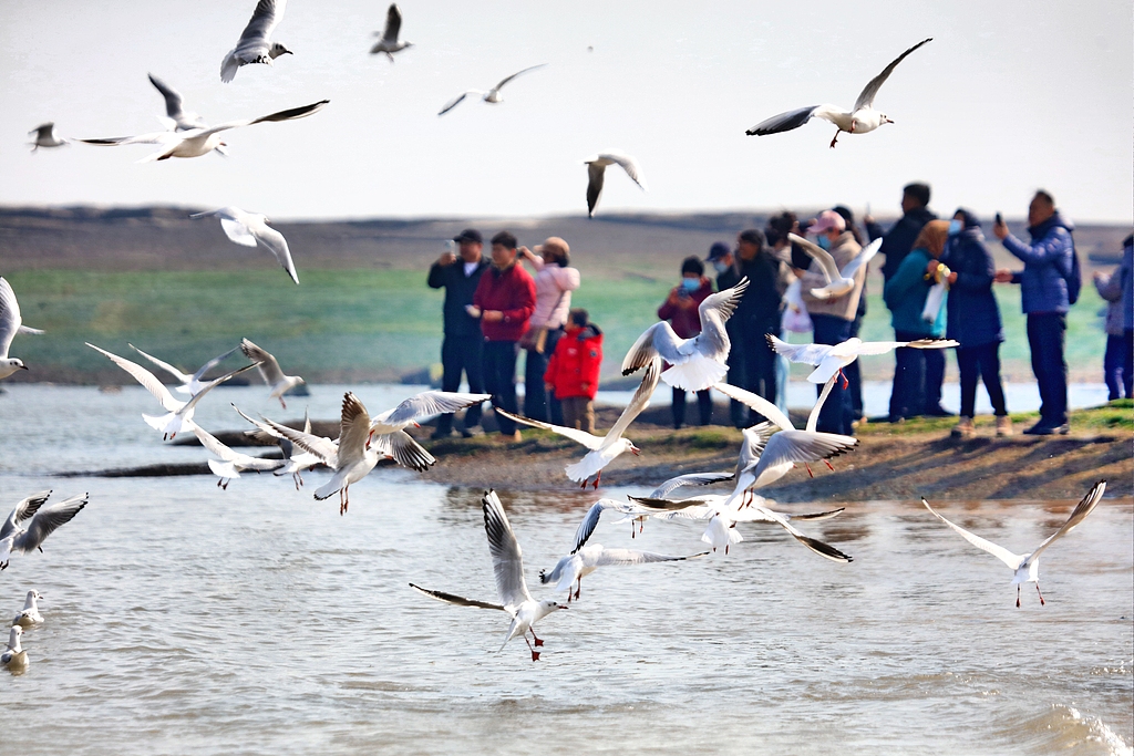 山东日照滨海游人气旺