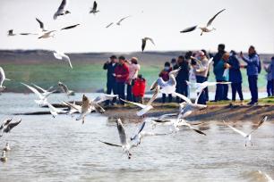 山东日照滨海游人气旺