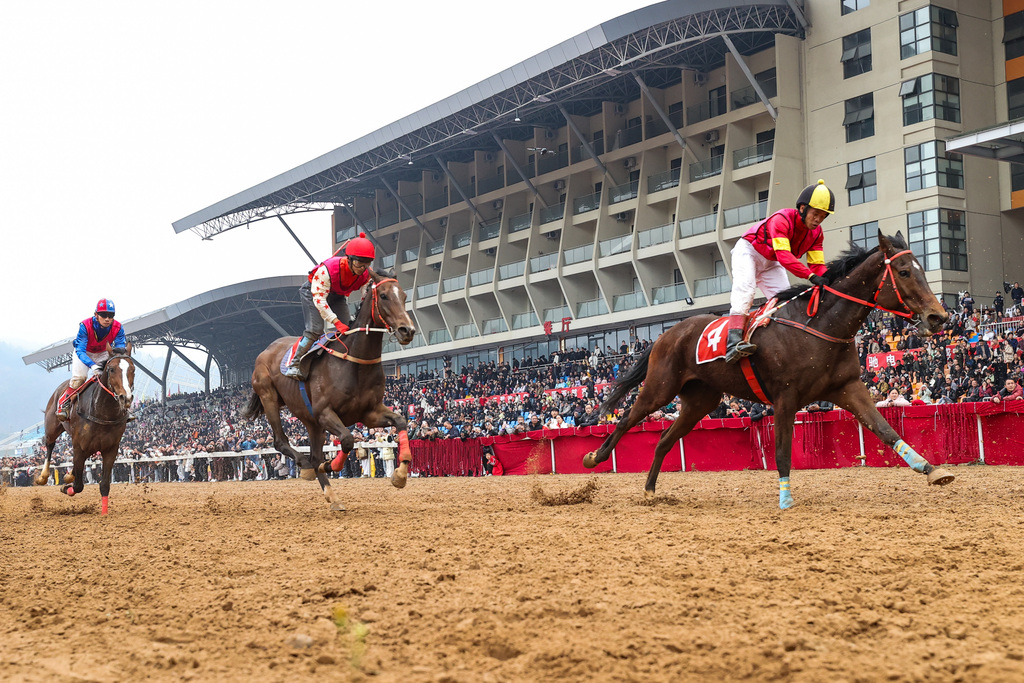 贵州三都：“贵州村马”春节赛事引客来
