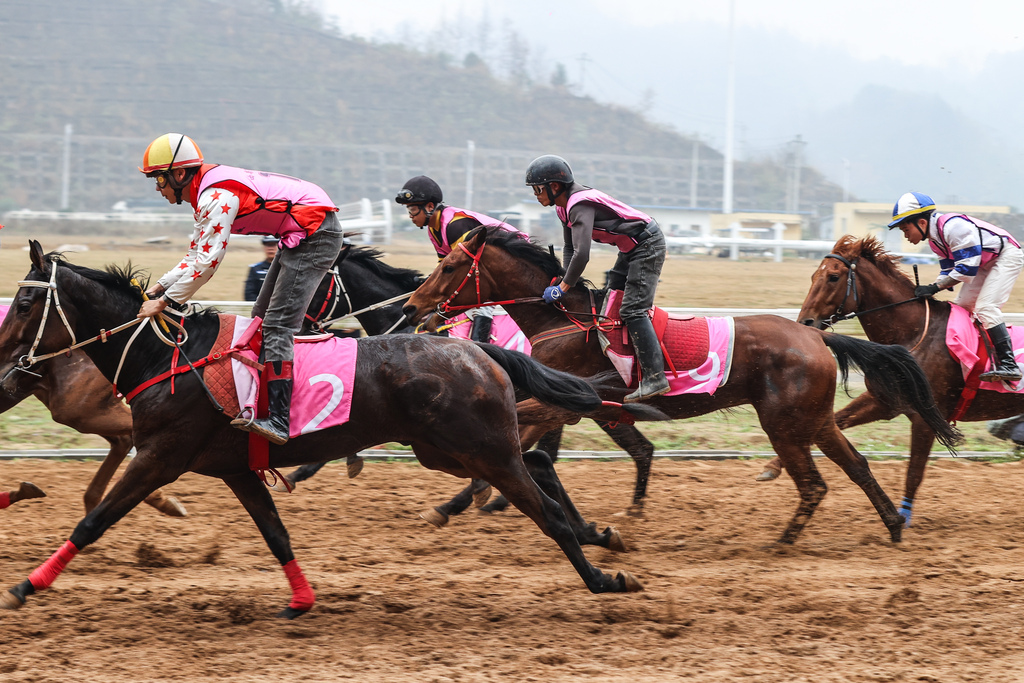 贵州三都：“贵州村马”春节赛事引客来