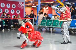 河南洛阳：小学生乐享科技寒假