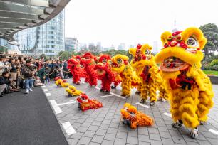 上海：机器人舞狮迎新年