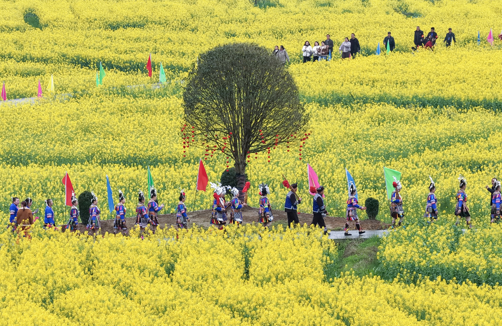 湖南怀化：油菜花海金黄灿烂吸引游客