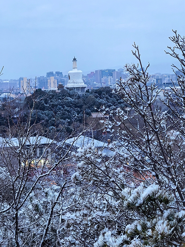 北京迎马年首场降雪 故宫博物院银装素裹