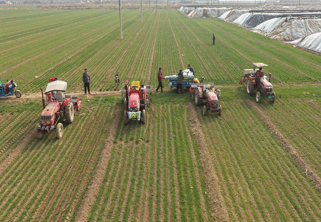 山东聊城：农民抢抓农时开展农事生产管理