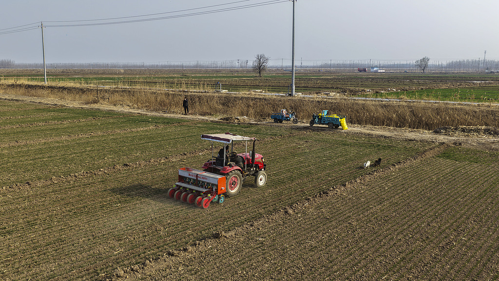 山东聊城：农民抢抓农时开展农事生产管理