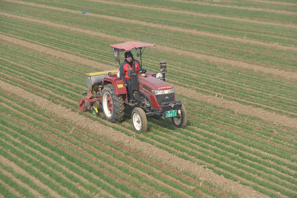 山东聊城：农民抢抓农时开展农事生产管理