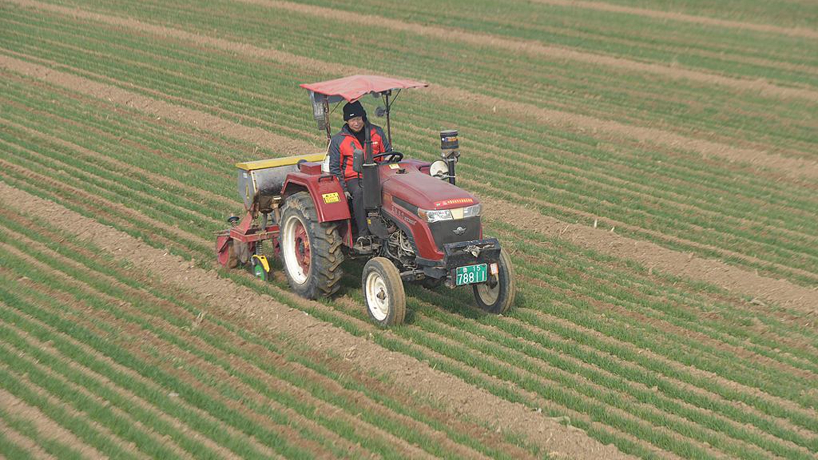 山东聊城：农民抢抓农时开展农事生产管理