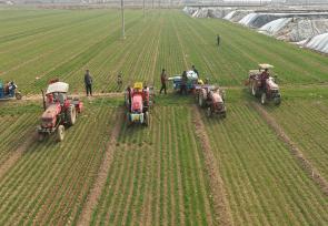 山东聊城：农民抢抓农时开展农事生产管理