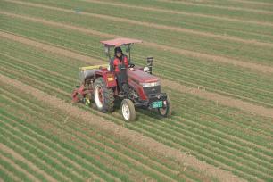 山东聊城：农民抢抓农时开展农事生产管理