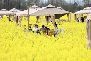 四川成都：“花田火锅”人气旺