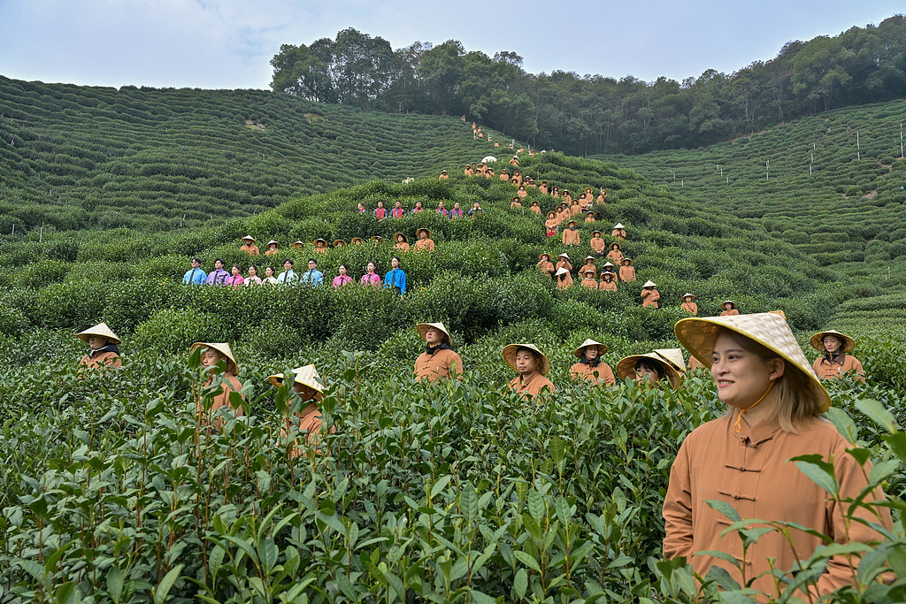 浙江杭州：茶农“喊山祈福”迎惊蛰