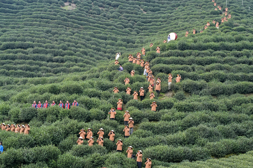 浙江杭州：茶农“喊山祈福”迎惊蛰