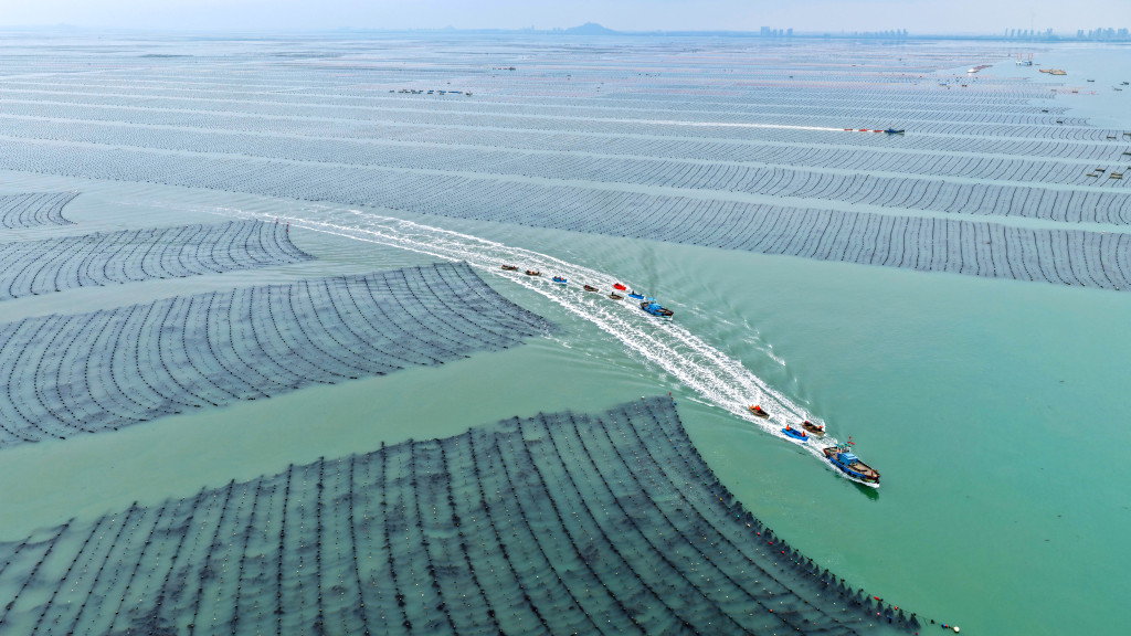 山东荣成：海上农场一派“春耕”生产景象