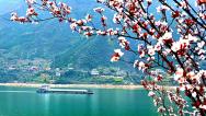 重庆：巫峡两岸春花烂漫