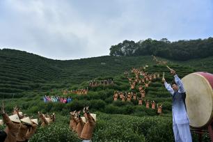 浙江杭州：茶农“喊山祈福”迎惊蛰