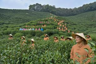 浙江杭州：茶农“喊山祈福”迎惊蛰