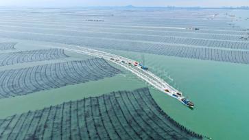 山东荣成：海上农场一派“春耕”生产景象