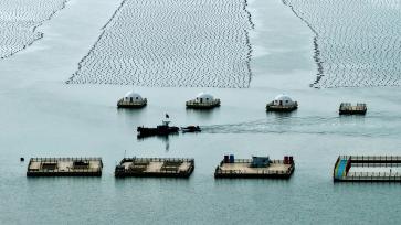 山东荣成：海上农场一派“春耕”生产景象