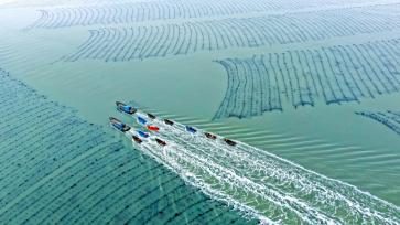 山东荣成：海上农场一派“春耕”生产景象