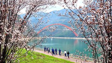 重庆：巫峡两岸春花烂漫