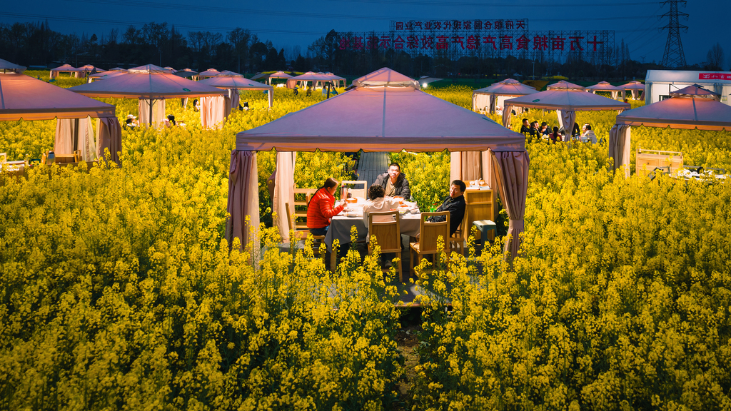 四川崇州：游客油菜花田品尝火锅