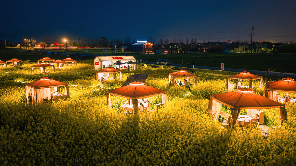 四川崇州：游客油菜花田品尝火锅