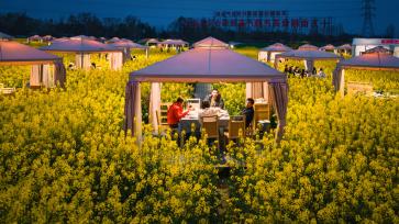 四川崇州：游客油菜花田品尝火锅