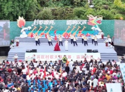 两会聚焦：解锁繁荣新大众文艺新思路