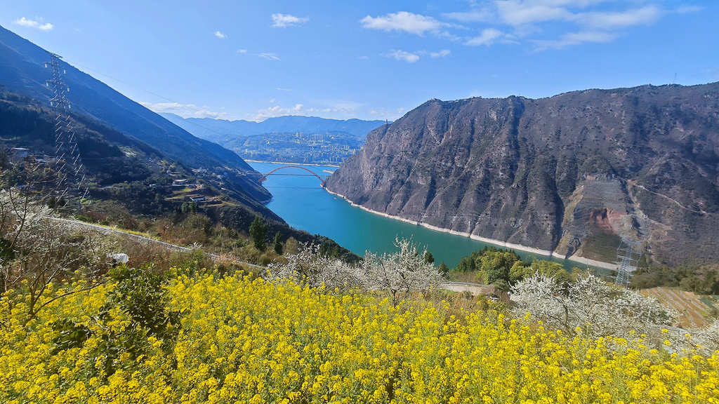 重庆：巫峡两岸春花次第开放