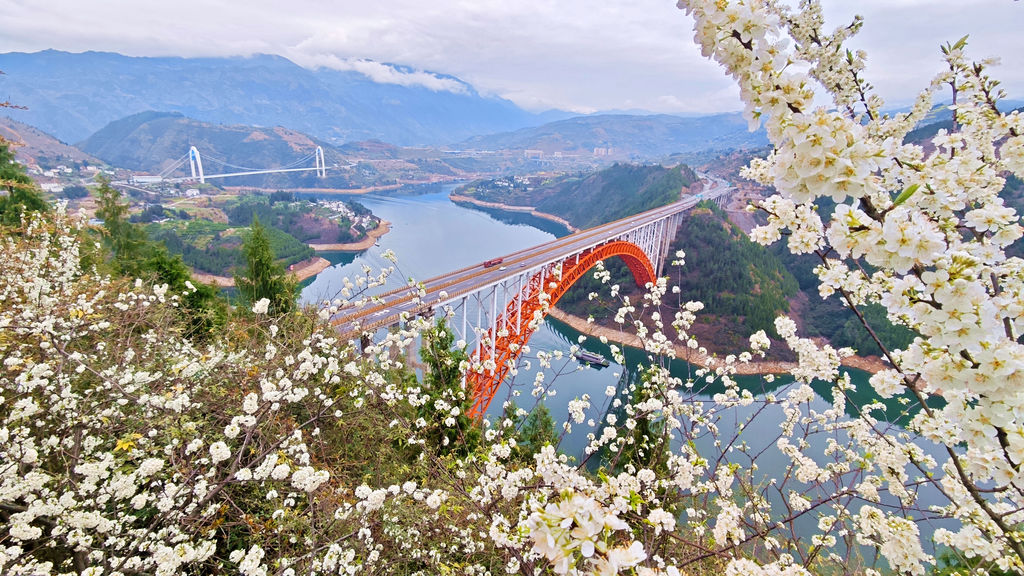 重庆：巫峡两岸春花次第开放