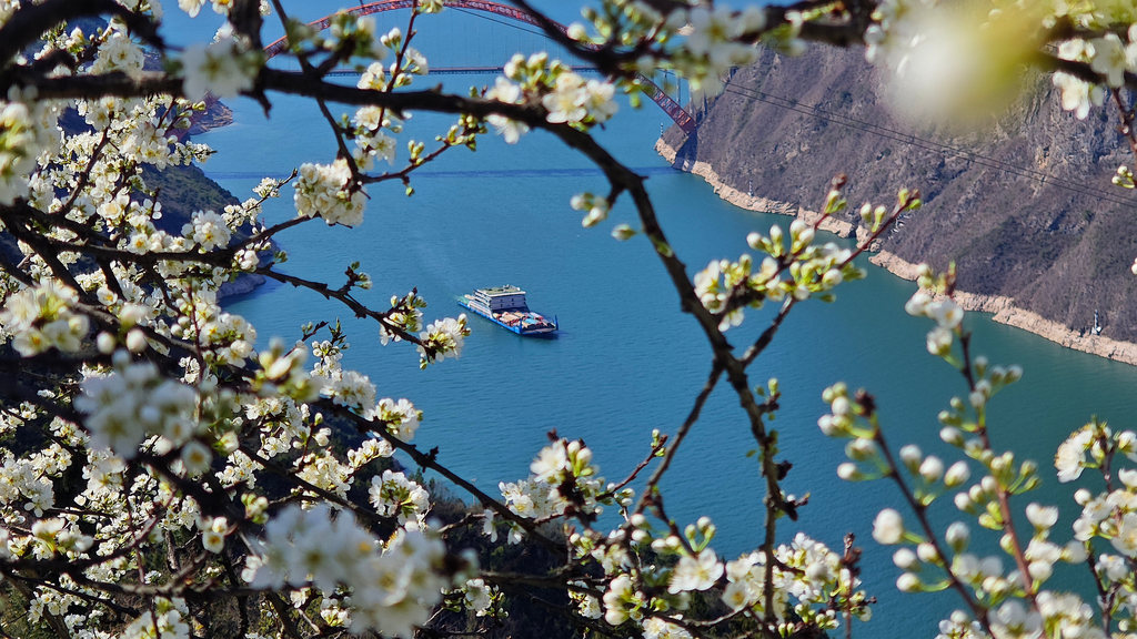 重庆：巫峡两岸春花次第开放