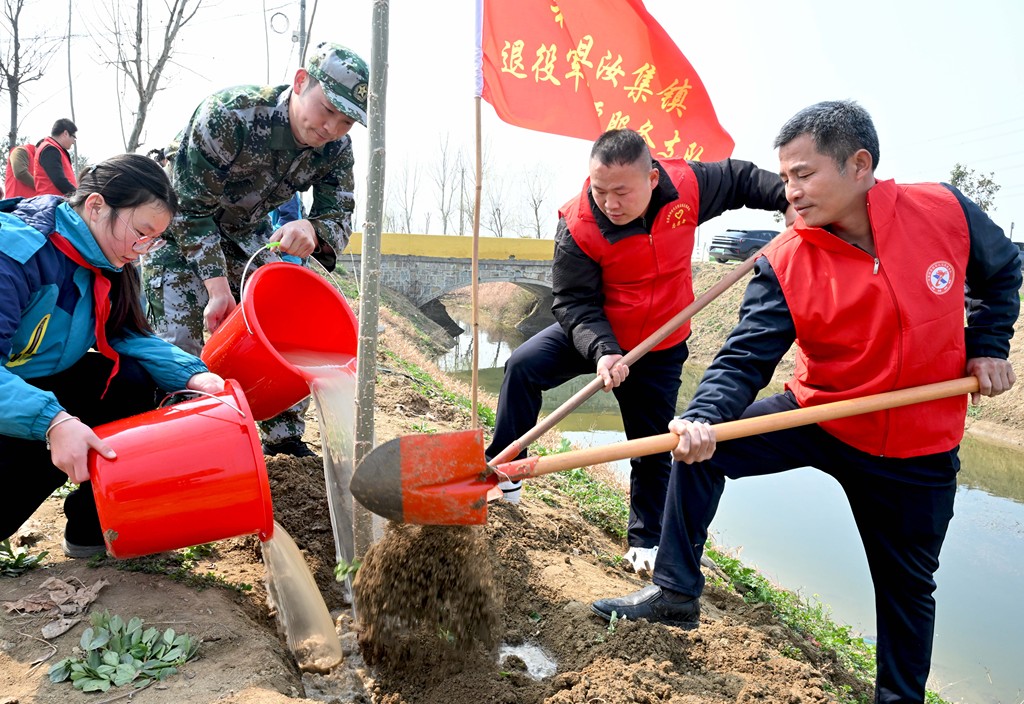 安徽亳州：植树造林绿化家园
