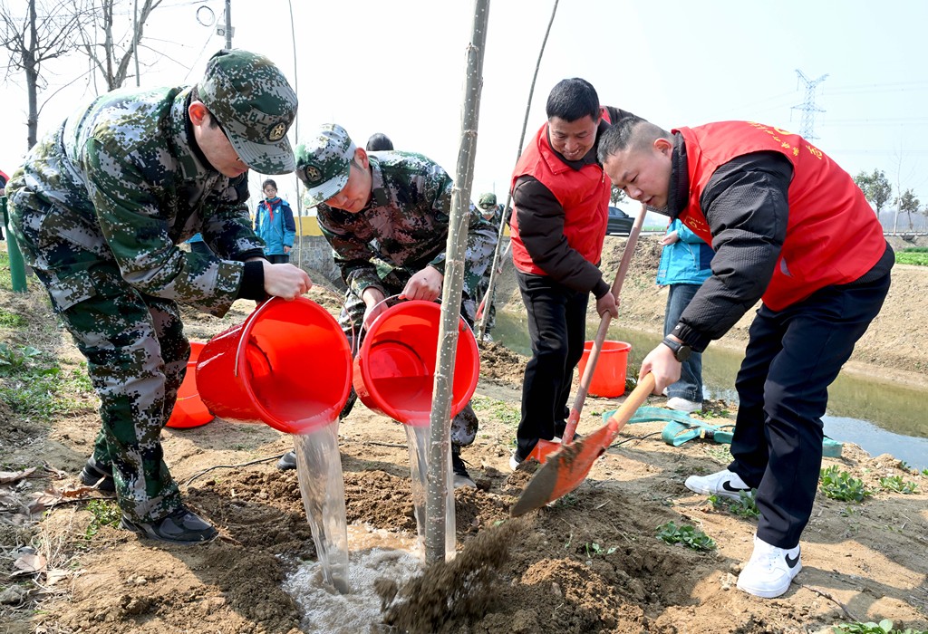 安徽亳州：植树造林绿化家园