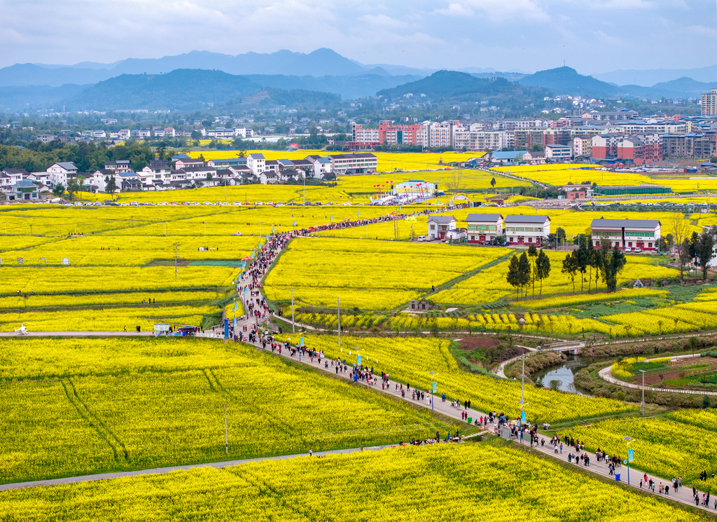 四川广安：油菜花开正艳 乡村旅游升温