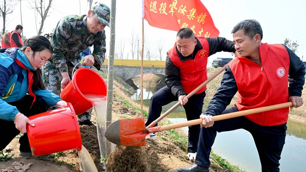 安徽亳州：植树造林绿化家园