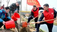 安徽亳州：植树造林绿化家园